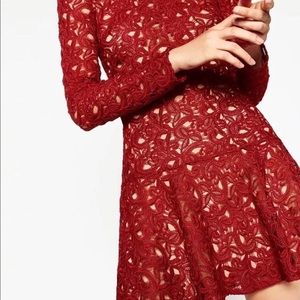 Zara Lace Dress